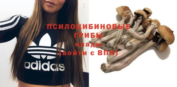 а пвп мука Гусь-Хрустальный