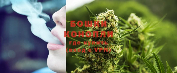 дурь Гусиноозёрск