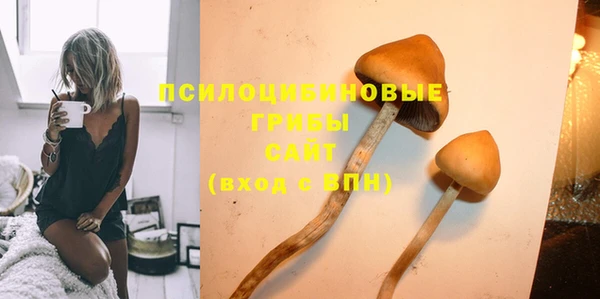 прущие крисы Гусев
