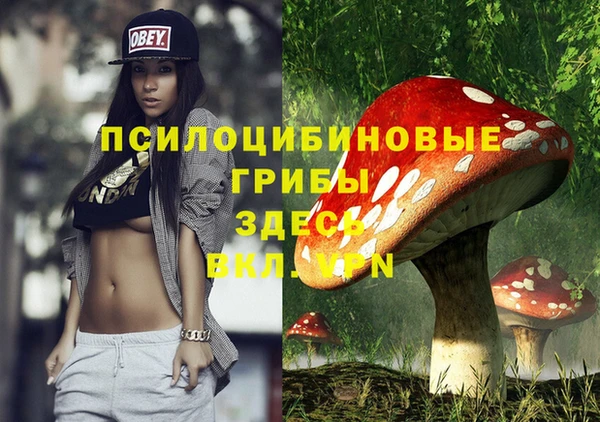 прущие крисы Гусев
