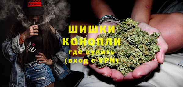 дурь Гусиноозёрск