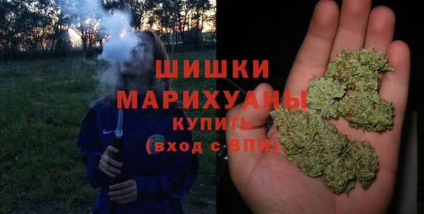 прущие крисы Гусев