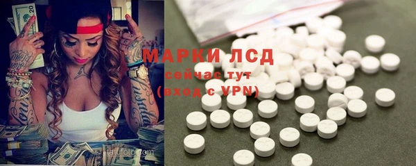 дурь Гусиноозёрск